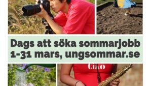 Dekorativ bild av sommarjobb